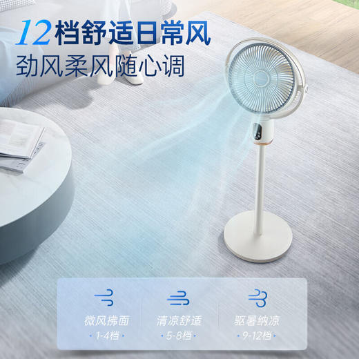 Morphyrichards摩飞直流变频电风扇可升降循环扇MR3702 椰奶白 商品图2