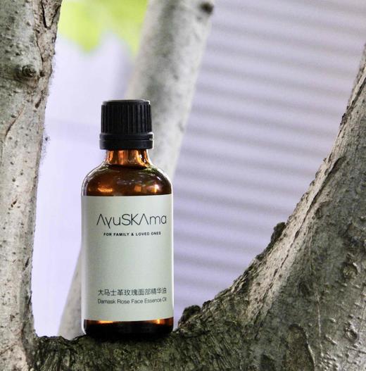 猫太推荐--AySkAma大马士革玫瑰面部精华油 商品图2