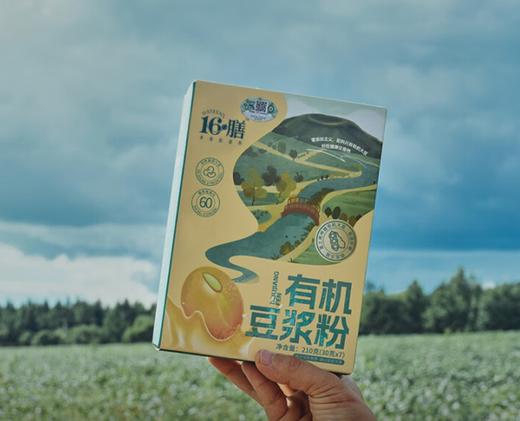 【有机】豆浆粉 商品图0