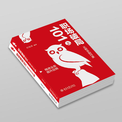 职场破局101：从新手到行家（上、下册） 石头哥 编著 北京大学出版社 商品图2