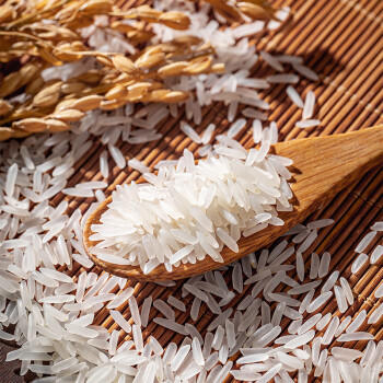 挂荔五星软香丝苗米5KG 长粒香米 籼米 南方大米 10斤 /粮油调味 /米 /丝苗米 商品图2