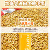 意刻（PASTATIME）意大利面 速食低脂减肥儿童意面粉挂面早饭即食直条形500g*3 /粮油调味 /意大利面 /传统意面 商品缩略图4