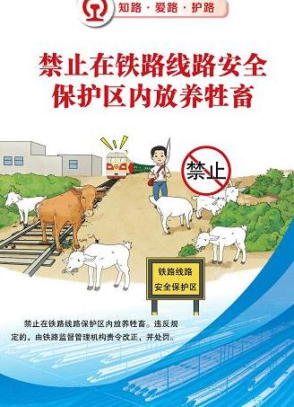 171131264 铁路路外安全 宣传挂图（12张/套）宽520mm*高760mm 商品图3