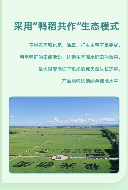 星火5KG生态鸭稻米BN 商品图3