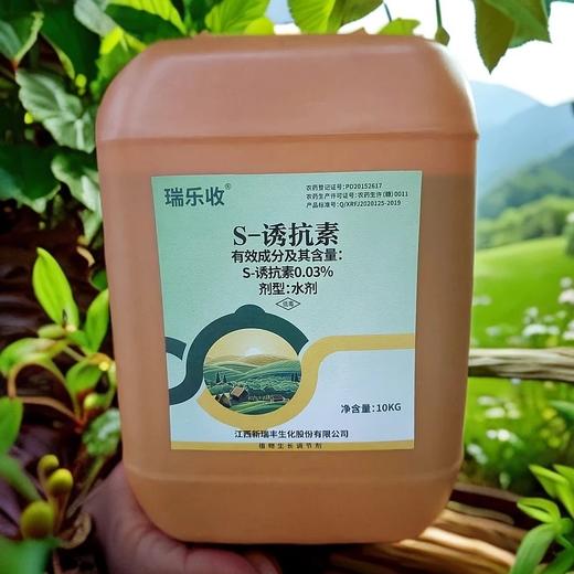 新瑞丰瑞乐收0.03%诱抗素氨基酸水剂上色上糖滴灌每桶3亩地 商品图1
