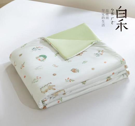 【白禾】25年新款白禾A两用冰冰熊奶芙夏凉被 商品图2