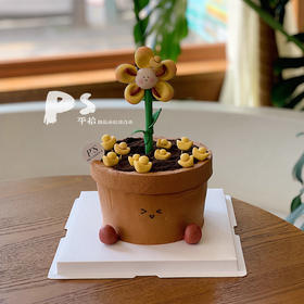 花盆蛋糕