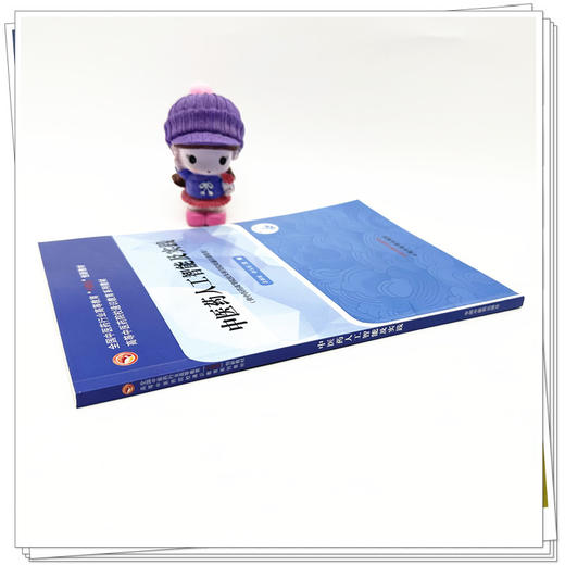 中医药人工智能及实践 吕雅丽 许玉龙 主编 中国中医药出版社 高等中医药院校通识教育系列十四五创新教材 商品图2