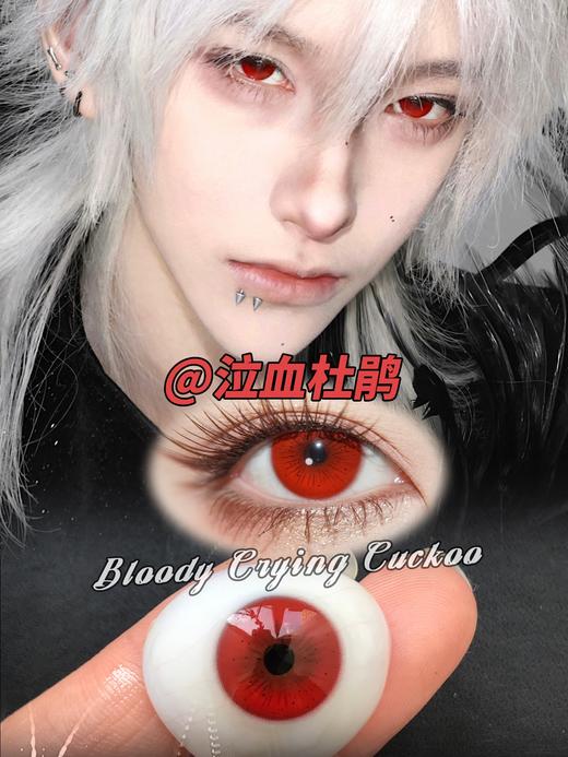 Serltyca 日抛 六片 泣血杜鹃 直径14.2mm着色13.5mm 商品图0