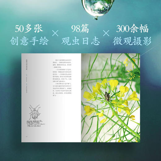 虫子间 商品图1