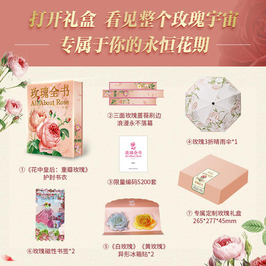 玫瑰全书 商品图1