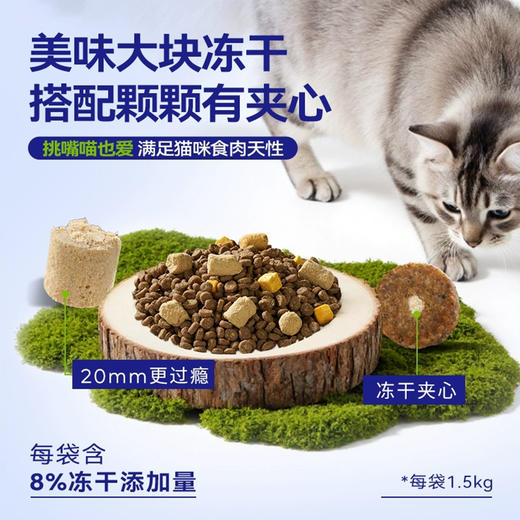 耐吉斯猫粮生骨肉冻干鸡肉鲜肉夹心成幼猫全阶段1.5kg猫粮 商品图1