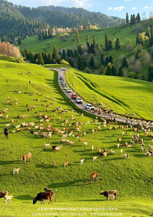 【美置服务】南北疆途·新疆双飞 10 天 商品图2