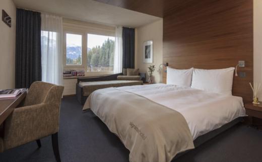 【25/26雪季】1月15日-24日 10天8晚瑞士 LAAX OPEN 滑雪观赛团「莱克斯+达沃斯+圣莫里茨」 商品图8