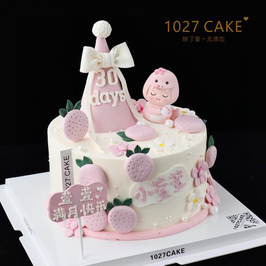 1027CAKE | 满月 周岁 蛇宝宝蛋糕 百天 商品图2