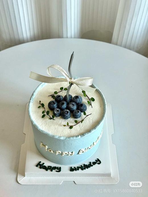 简约蓝莓 商品图0