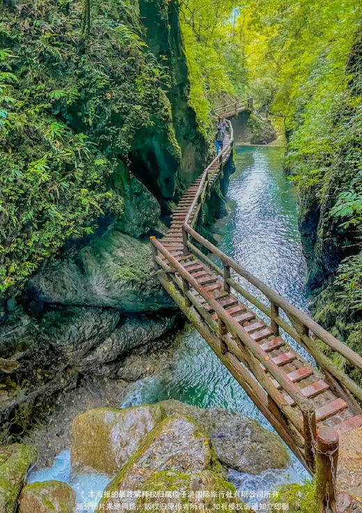 【毕业季-成都】纯玩5天4晚私家团 商品图2