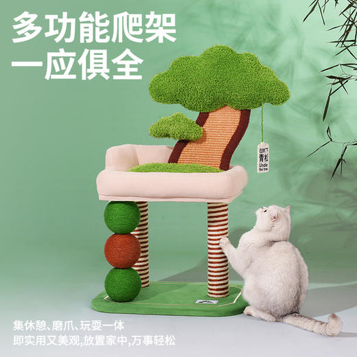 zeze青松盆栽爬架-B(包邮） 商品图4