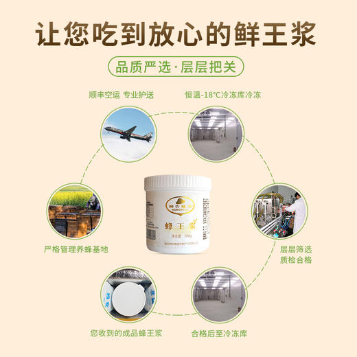 健康营养 蜂王浆500克罐装 三层加厚保温泡沫箱纸箱 顺丰冷运保鲜 商品图1