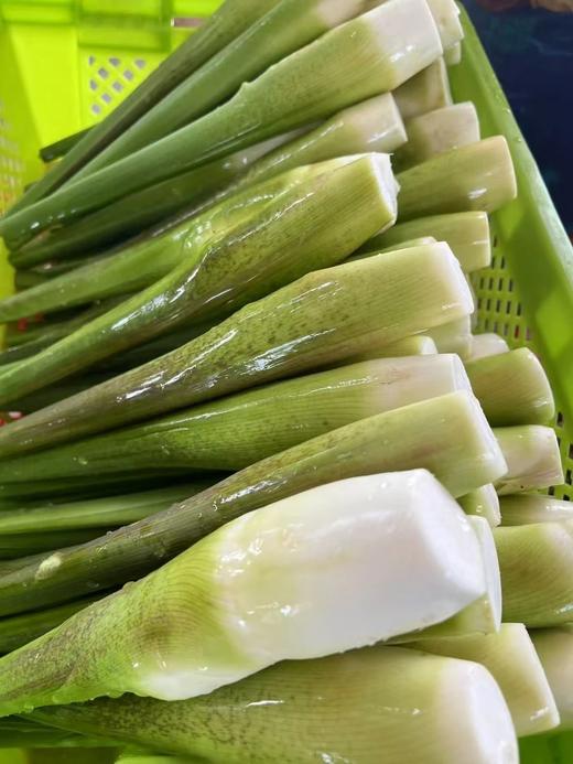 尝鲜价3斤29.9云南水果茭白【中通包邮】藏在山水间的翡翠珍馐基地直邮 商品图1