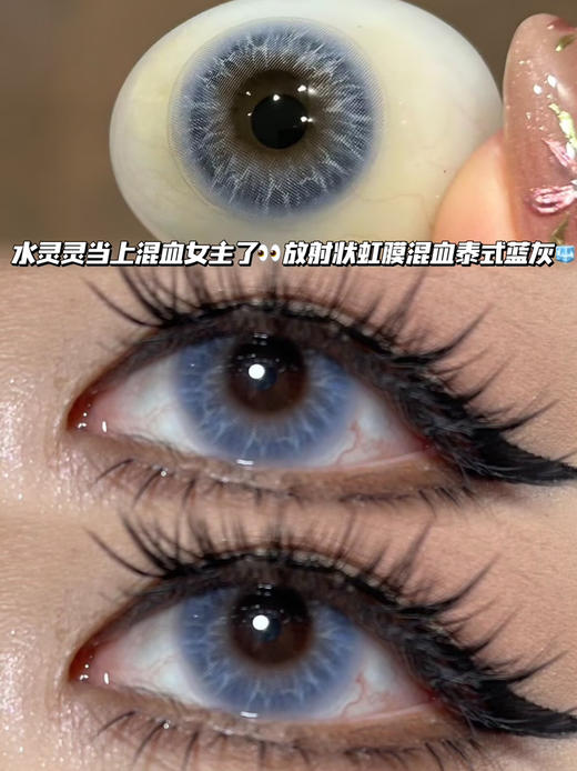 泰式美学蓝灰·半年抛型 编号S22 商品图0