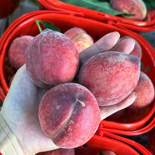 新鲜水果 果香浓郁 脆甜可口郧阳青曲当季脆桃 1筐(每筐3斤左右) 商品图1