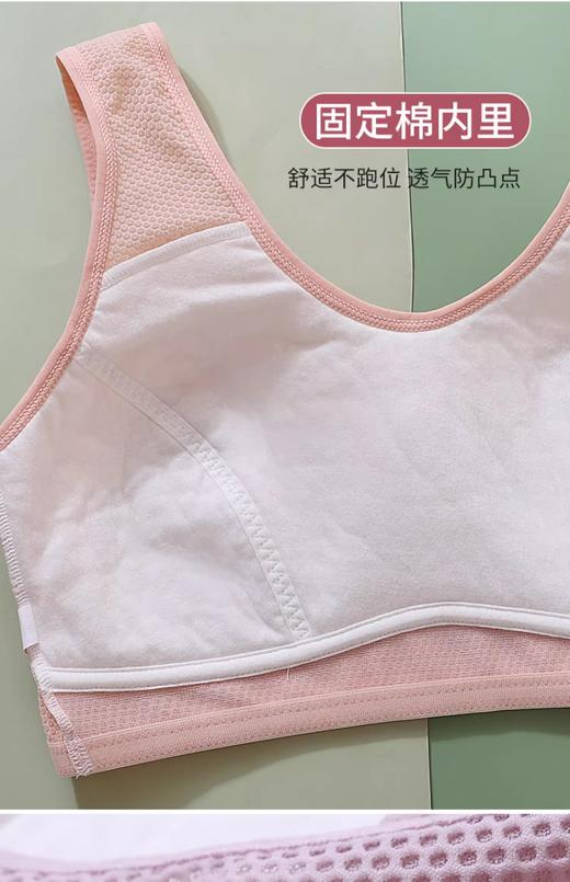 裁缝学苑AS493中老年妈妈文胸纸样防凸点内衣服装样板图纸 商品图3