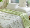 【白禾】25年新款白禾A两用冰冰熊奶芙夏凉被 商品缩略图4