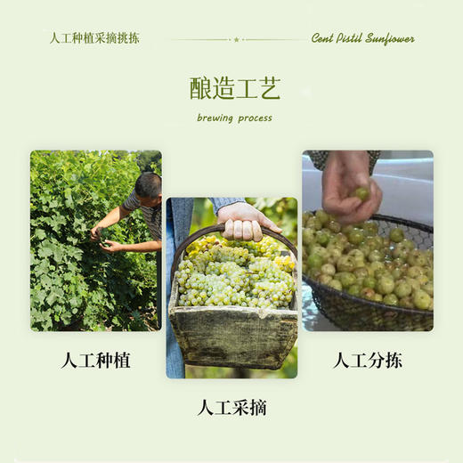 依恋森林2023长相思白葡萄酒 商品图3