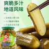 天山红&天山红日东北喀秋莎俄式酸黄瓜670g 酸青瓜 速食汉堡西餐配菜 /粮油调味 /调味品 /榨菜/酱腌菜 商品缩略图0