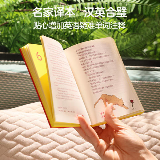 文库版《小王子》 专属星球编码+专色刷边 中英法三语 正版原著 法式浪漫美学 商品图3