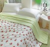 【白禾】25年新款白禾A两用冰冰熊奶芙夏凉被 商品缩略图3