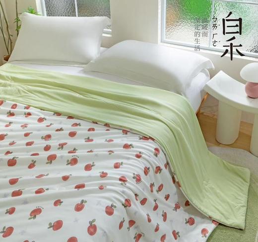 【白禾】25年新款白禾A两用冰冰熊奶芙夏凉被 商品图3
