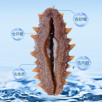 同仁堂子品牌总统牌 大连冻干海参速发辽参26g 16只海参礼盒补品干货 /粮油调味 /南北干货 /干海参 商品图4