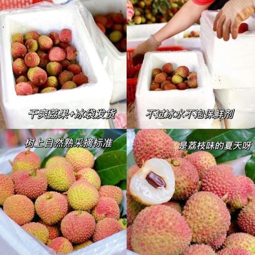 海南·妃子笑荔枝 4斤装 顺丰空运 商品图6