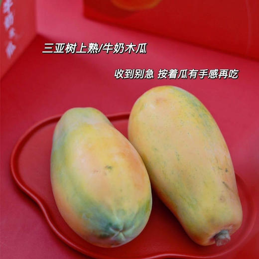 树上熟牛奶木瓜（48小时内发货） 商品图3