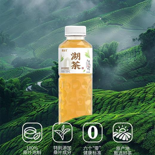 桑加1 桑叶乌龙茶 500ml/瓶 商品图3