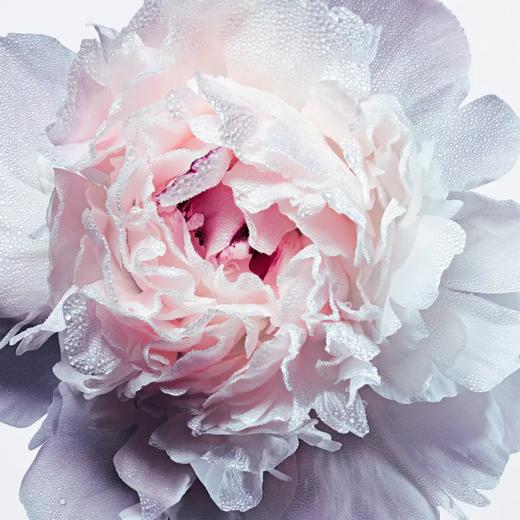 【香港直邮】Dior/迪奥迪奥小姐花漾甜心女士淡香水50ml/100ml 商品图1