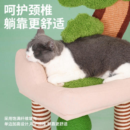 zeze青松盆栽爬架-B(包邮） 商品图1