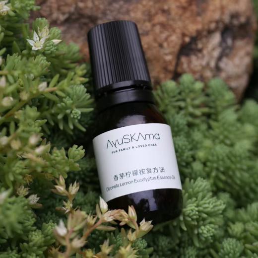 猫太推荐-- 香茅柠檬桉复方油 商品图3