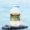 椰树长寿泉矿泉水 10L/桶 商品缩略图0
