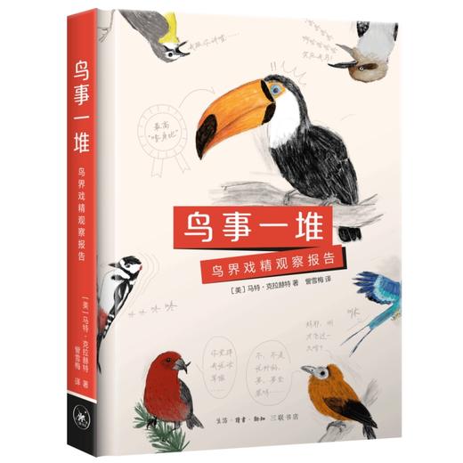 鸟事一堆:鸟界戏精观察报告 商品图0