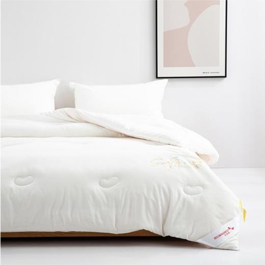 【快递包邮】红蜻蜓冬被原棉大豆被HQT-2002 商品图2