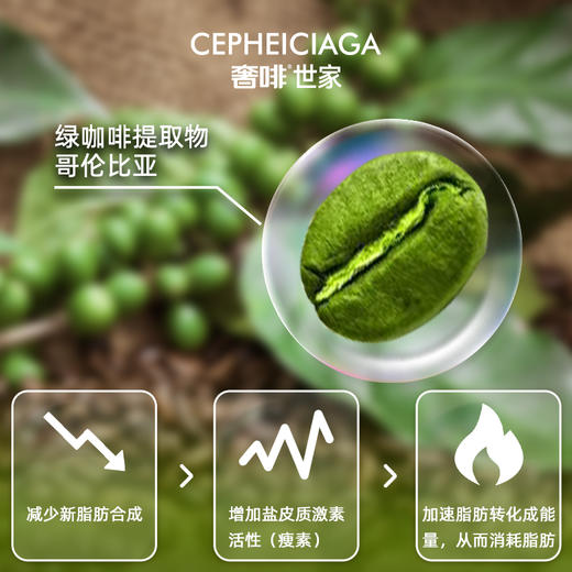 【奢啡】绿原酸黑咖啡（1.5g+1.5g）*10组（配10份吸管袋 带手包） 商品图3