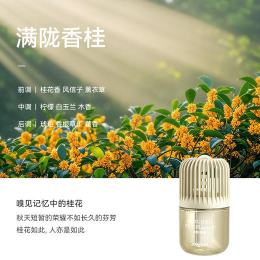 【植物消臭！持久留香】车载室内卫生间去异味液体香薰持久留香高级香水家用客厅厕所除味香氛。ry 商品图5