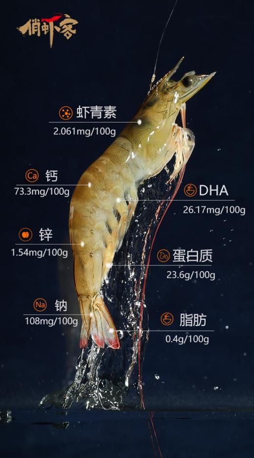 朴愿甄选   有机盐田虾 带头生虾 400克/盒 商品图2