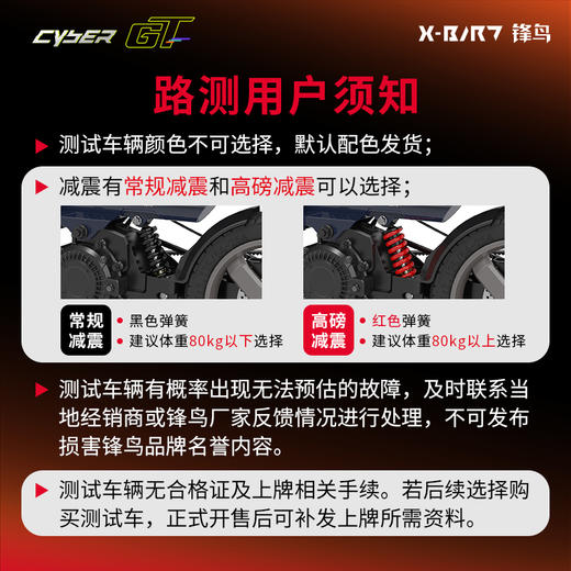 锋鸟2025年新品赛博GT 路测样车 押金专用链接，非选定用户请勿下单，下单后发往当地专卖店提车 商品图2