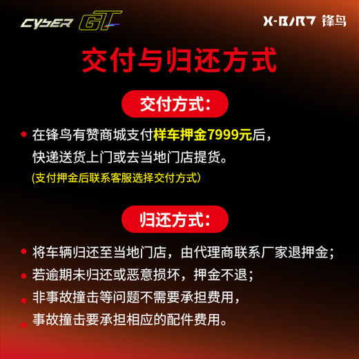 锋鸟2025年新品赛博GT 路测样车 押金专用链接，非选定用户请勿下单，下单后发往当地专卖店提车 商品图4