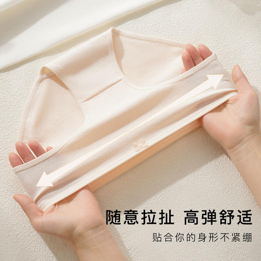 【5条装】亲肤纯棉抑菌底裆内裤女轻柔舒适高弹不勒三角内裤1160#花季少女内裤 商品图4