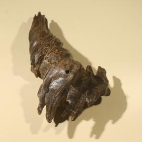 BC.RS5.14-8  越南芽庄沉水(摆件料) ，85.53g